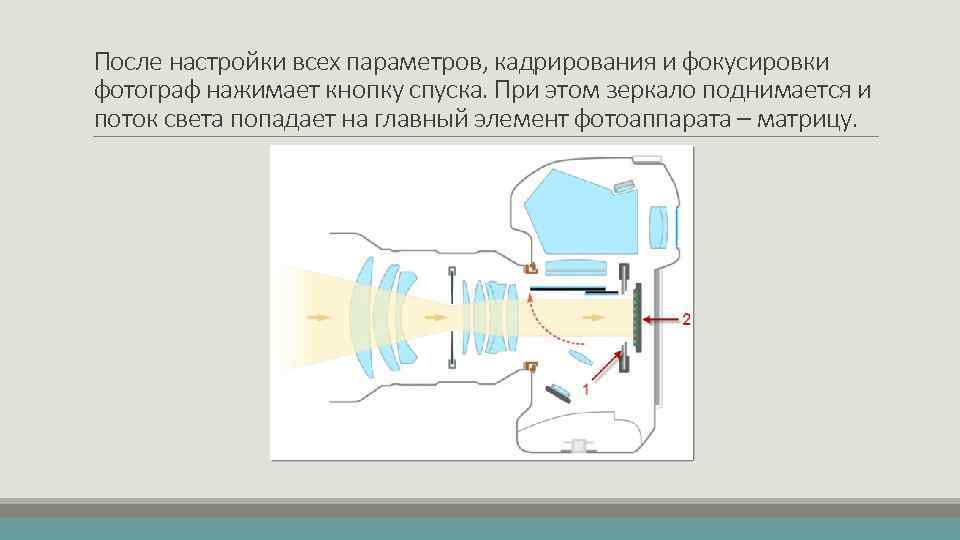 После настройки всех параметров, кадрирования и фокусировки фотограф нажимает кнопку спуска. При этом зеркало