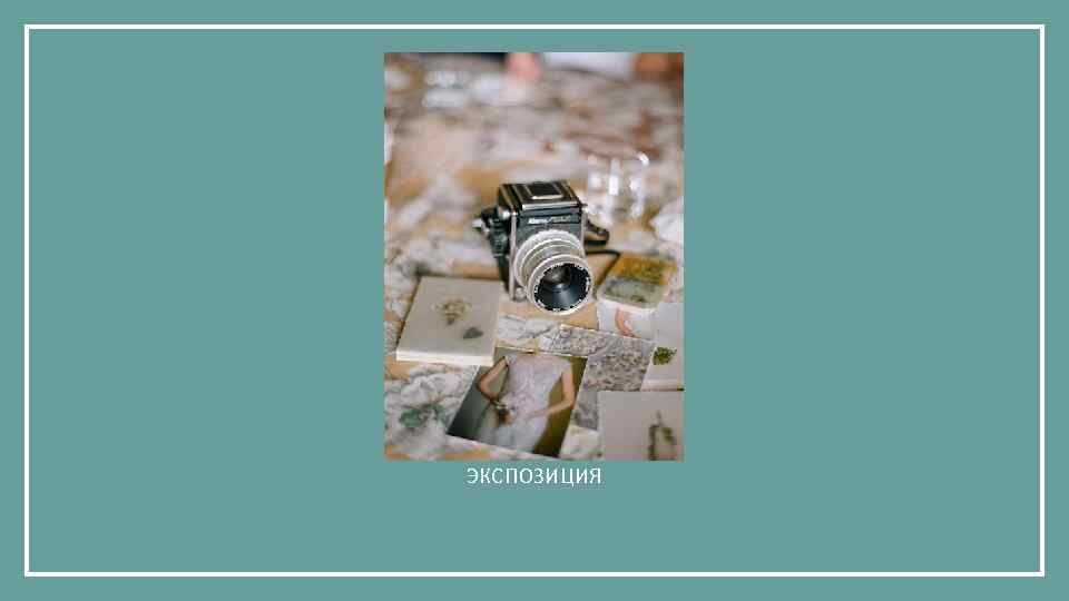 ЭКСПОЗИЦИЯ 