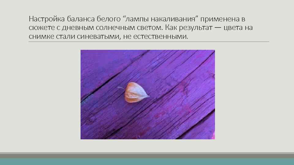 Настройка баланса белого “лампы накаливания” применена в сюжете с дневным солнечным светом. Как результат
