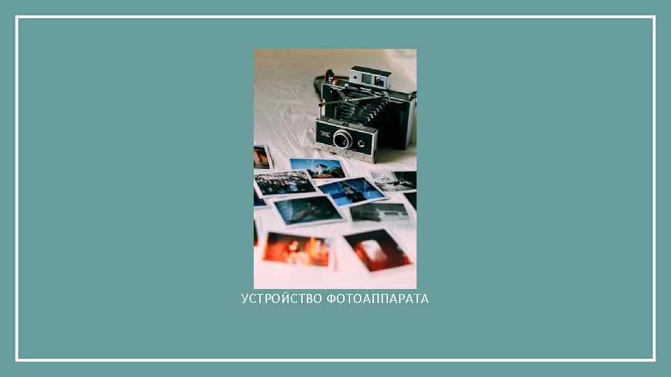УСТРОЙСТВО ФОТОАППАРАТА 