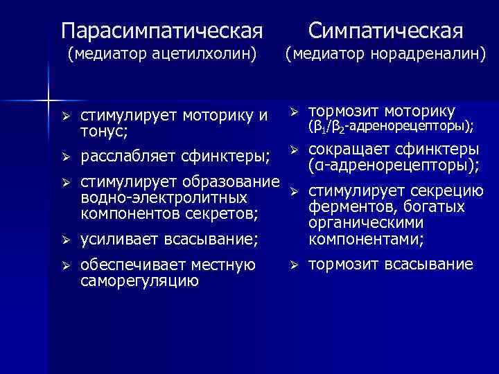 Парасимпатическая (медиатор ацетилхолин) Ø Ø стимулирует моторику и тонус; расслабляет сфинктеры; Ø стимулирует образование