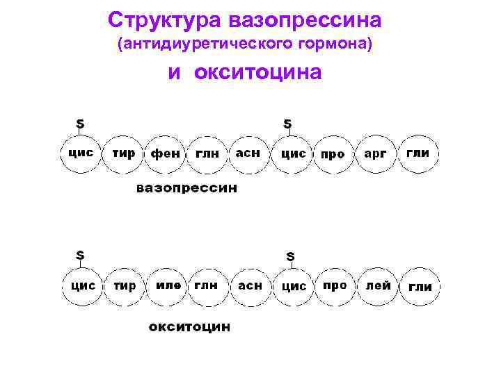 Окситоцин вазопрессин адреналин