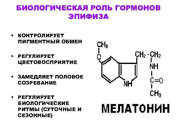 БИОЛОГИЧЕСКАЯ РОЛЬ ГОРМОНОВ ЭПИФИЗА • КОНТРОЛИРУЕТ ПИГМЕНТНЫЙ ОБМЕН • РЕГУЛИРУЕТ ЦВЕТОВОСПРИЯТИЕ • ЗАМЕДЛЯЕТ ПОЛОВОЕ