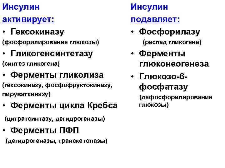 Инсулин активирует: • Гексокиназу (фосфорилирование глюкозы) • Гликогенсинтетазу (синтез гликогена) • Ферменты гликолиза (гексокиназу,