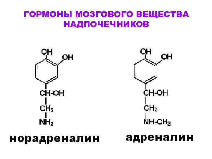 ГОРМОНЫ МОЗГОВОГО ВЕЩЕСТВА НАДПОЧЕЧНИКОВ 