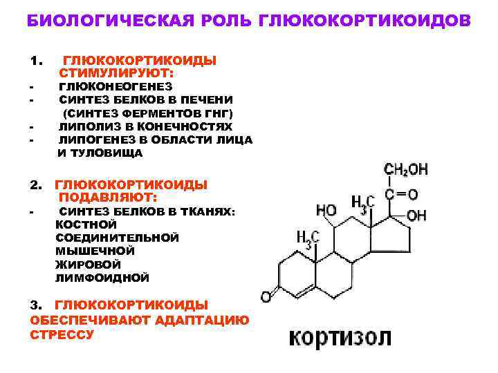 Кортизон что это