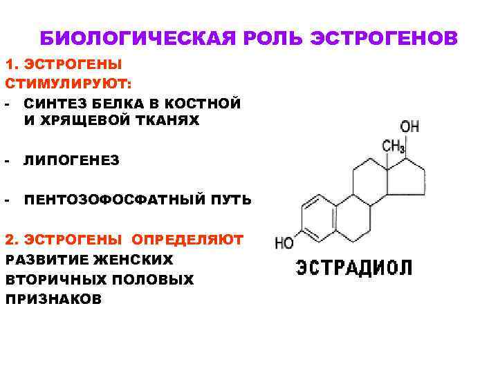 БИОЛОГИЧЕСКАЯ РОЛЬ ЭСТРОГЕНОВ 1. ЭСТРОГЕНЫ СТИМУЛИРУЮТ: - СИНТЕЗ БЕЛКА В КОСТНОЙ И ХРЯЩЕВОЙ ТКАНЯХ