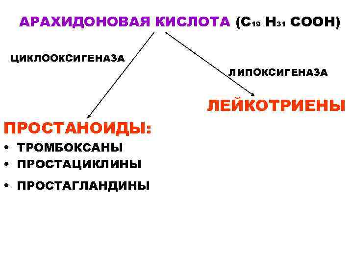 АРАХИДОНОВАЯ КИСЛОТА (С 19 Н 31 СООН) ЦИКЛООКСИГЕНАЗА ЛИПОКСИГЕНАЗА ЛЕЙКОТРИЕНЫ ПРОСТАНОИДЫ: • ТРОМБОКСАНЫ •