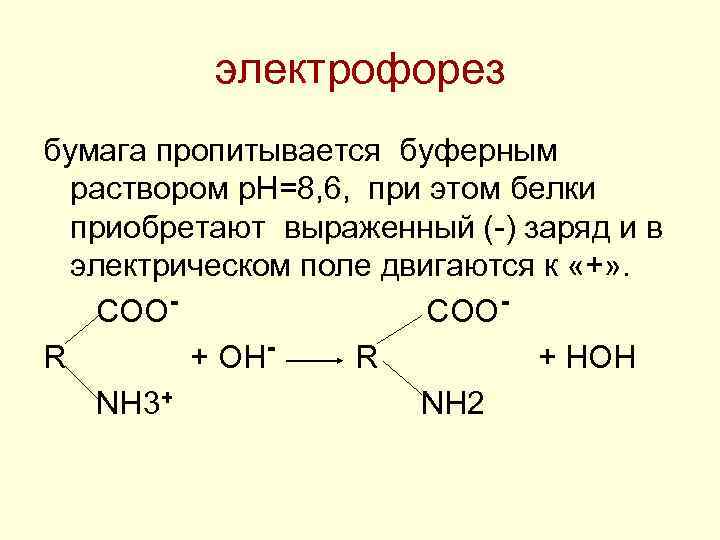 электрофорез бумага пропитывается буферным раствором р. Н=8, 6, при этом белки приобретают выраженный (