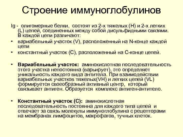 Строение иммуноглобулинов Ig олигомерные белки, состоят из 2 х тяжелых (Н) и 2 х