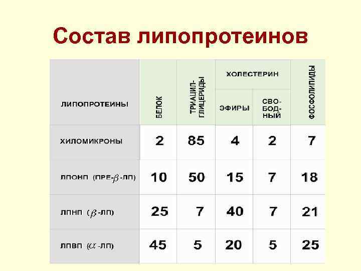 Состав липопротеинов 