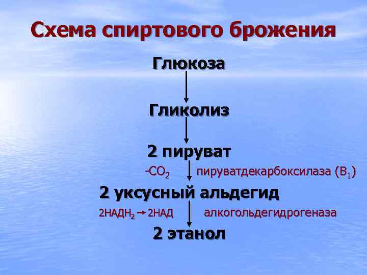 Схема спиртового брожения Глюкоза Гликолиз 2 пируват -СО 2 пируватдекарбоксилаза (В 1) 2 уксусный