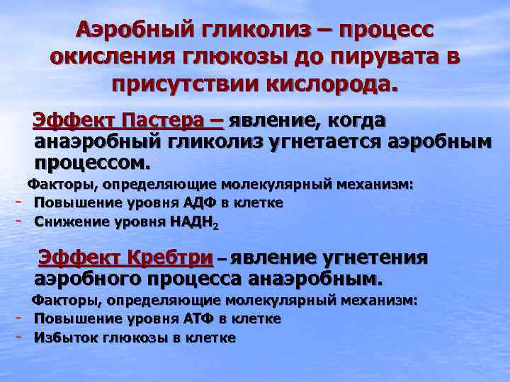 Аэробный гликолиз – процесс окисления глюкозы до пирувата в присутствии кислорода. Эффект Пастера –