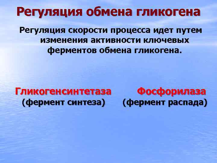 Регуляция обмена гликогена Регуляция скорости процесса идет путем изменения активности ключевых ферментов обмена гликогена.