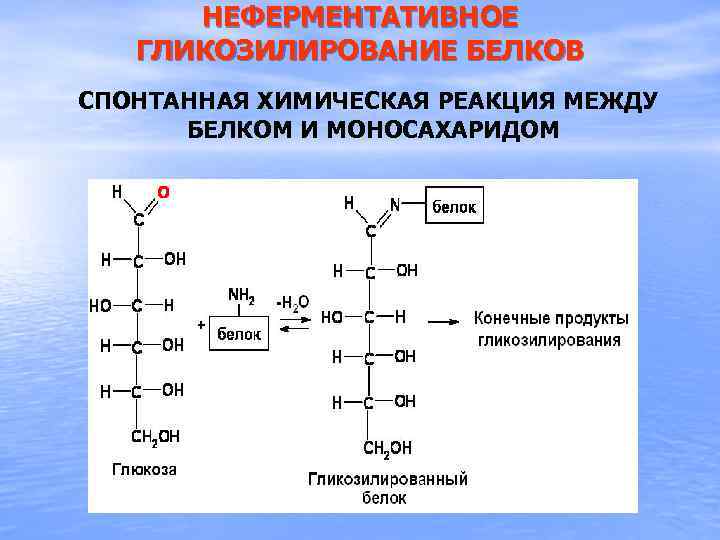 Связи между белками