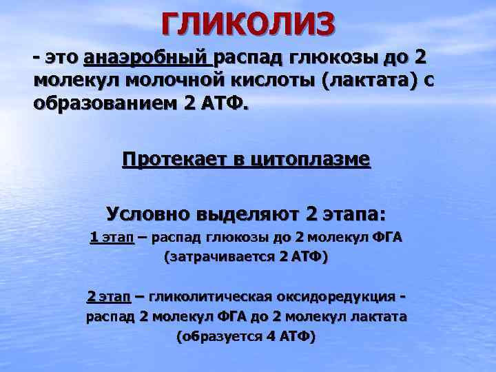 ГЛИКОЛИЗ - это анаэробный распад глюкозы до 2 молекул молочной кислоты (лактата) с образованием