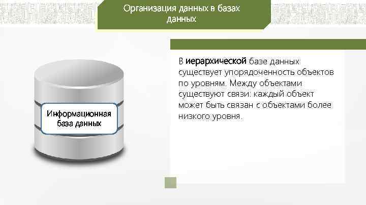 Организация данных в базах данных Информационная база данных В иерархической базе данных существует упорядоченность