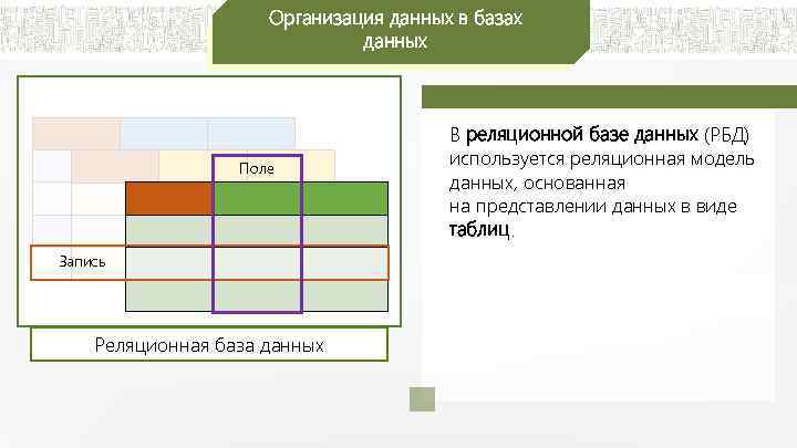Организация данных в базах данных Поле Запись Реляционная база данных В реляционной базе данных