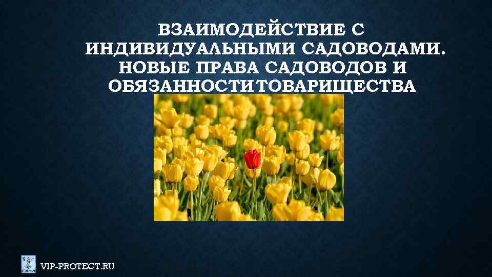 ВЗАИМОДЕЙСТВИЕ С ИНДИВИДУАЛЬНЫМИ САДОВОДАМИ. НОВЫЕ ПРАВА САДОВОДОВ И ОБЯЗАННОСТИ ТОВАРИЩЕСТВА VIP-PROTECT. RU 