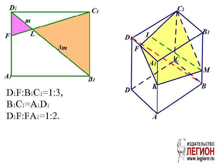 D 1 F: B 1 C 1=1: 3, B 1 C 1=A 1 D