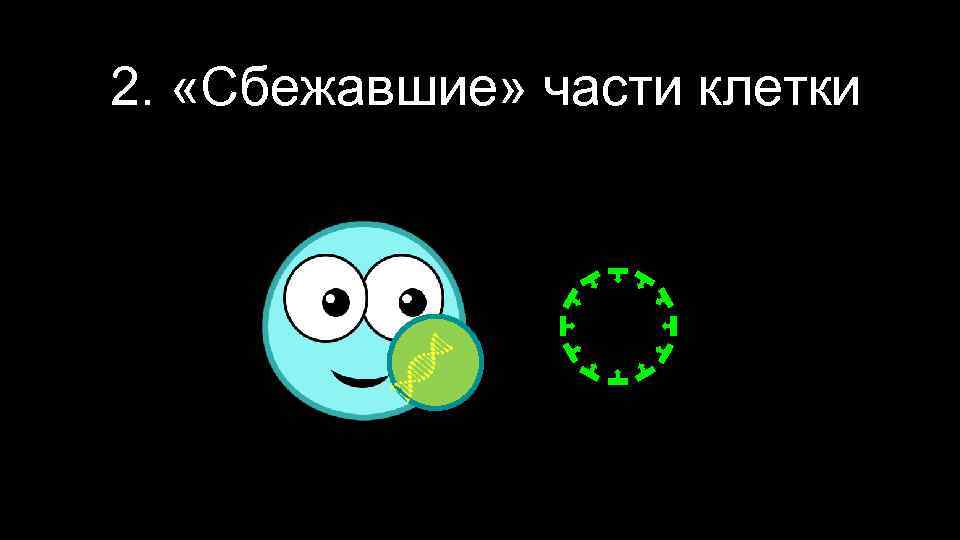 2. «Сбежавшие» части клетки 