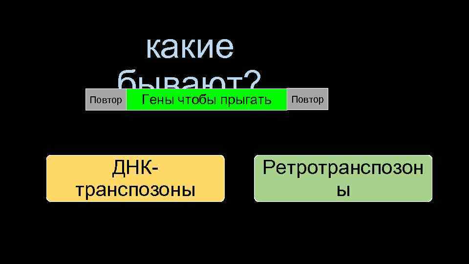 какие бывают? Повтор Гены чтобы прыгать ДНКтранспозоны Повтор Ретротранспозон ы 