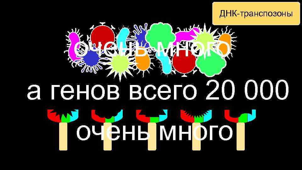 ДНК-транспозоны очень много а генов всего 20 000 очень много 