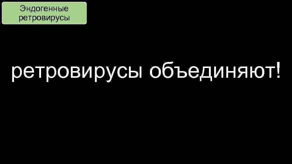 Эндогенные ретровирусы объединяют! 