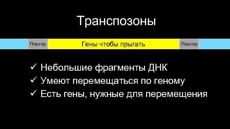 Транспозоны Повтор Гены чтобы прыгать Повтор ü Небольшие фрагменты ДНК ü Умеют перемещаться по