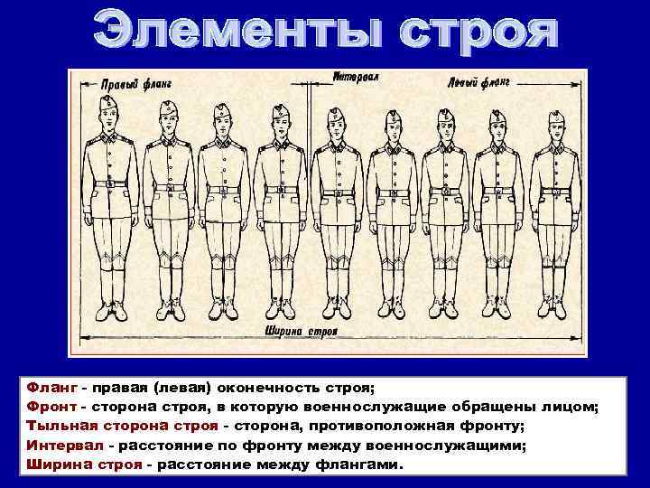 Правая и левая оконечность строя