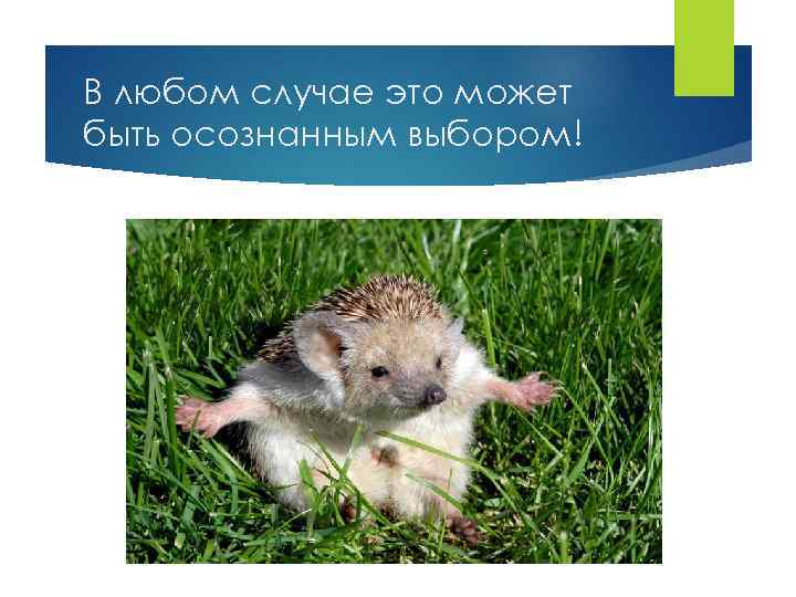 В любом случае это может быть осознанным выбором! 