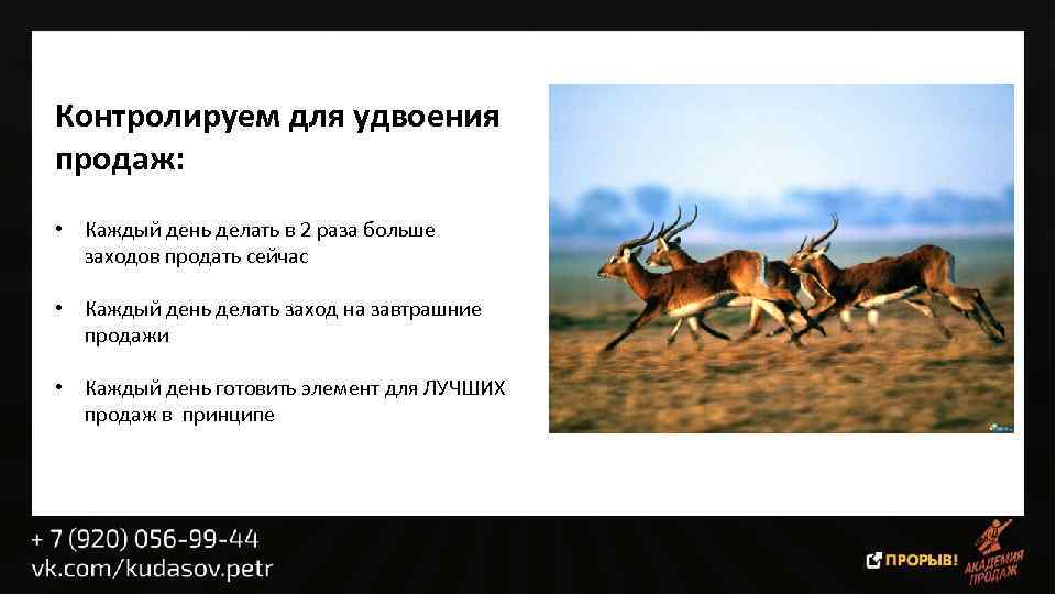 Контролируем для удвоения продаж: • Каждый день делать в 2 раза больше заходов продать
