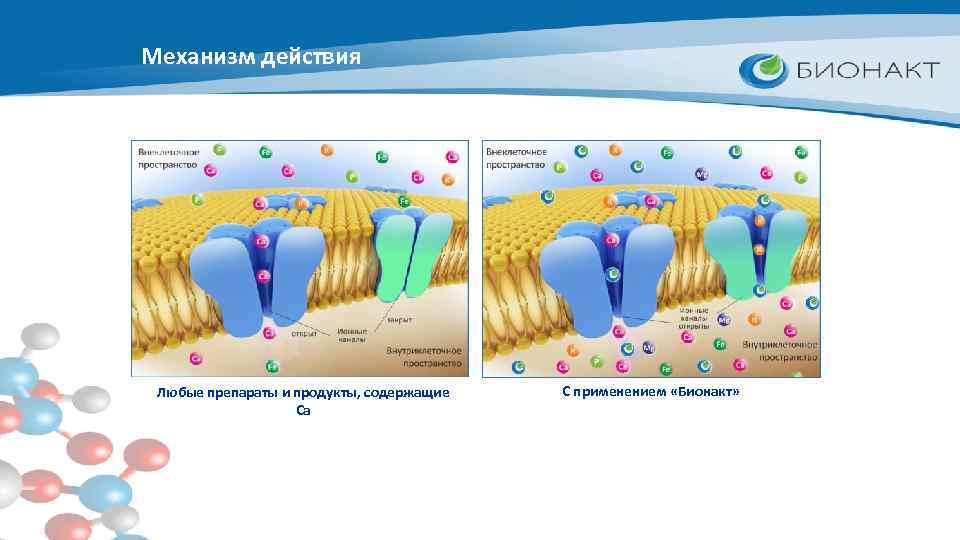 Механизм действия Любые препараты и продукты, содержащие Са С применением «Бионакт» 