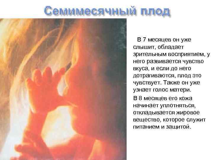  В 7 месяцев он уже слышит, обладает зрительным восприятием, у него развивается чувство