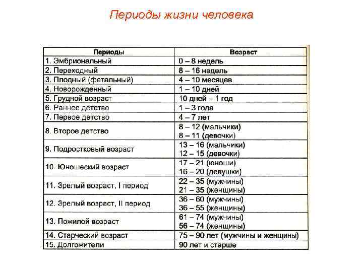 Периоды жизни человека 