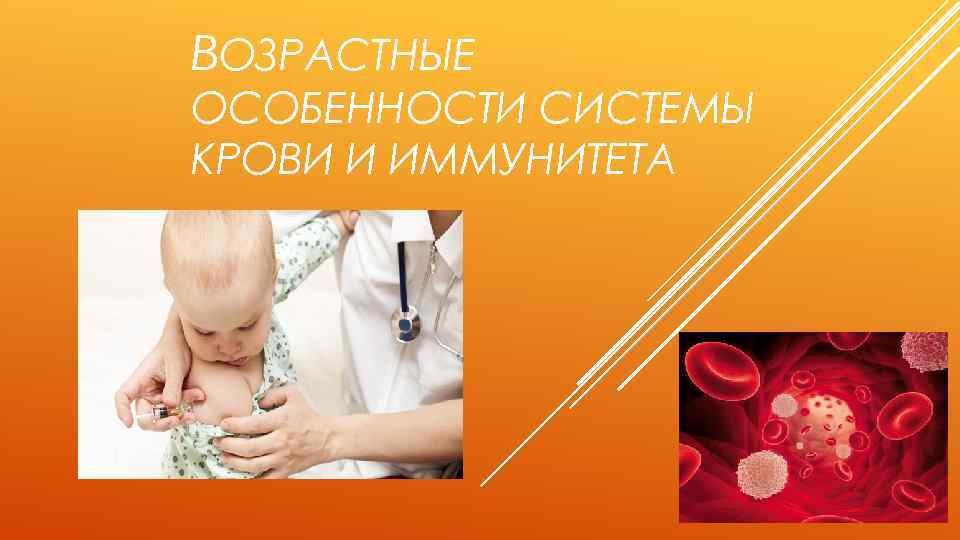 ВОЗРАСТНЫЕ ОСОБЕННОСТИ СИСТЕМЫ КРОВИ И ИММУНИТЕТА 