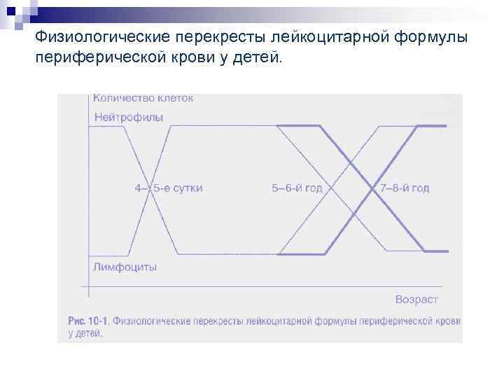 Физиологические перекресты лейкоцитарной формулы периферической крови у детей. 