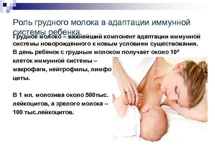 Роль грудного молока в адаптации иммунной системы ребенка. Грудное молоко – важнейший компонент адаптации
