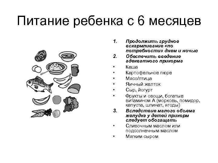 Питание ребенка с 6 месяцев 1. 2. • • • 3. • • Продолжить