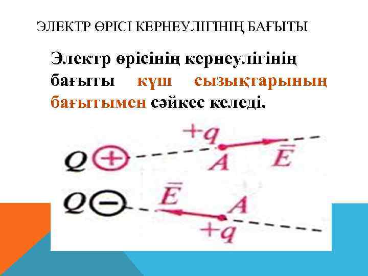 ЭЛЕКТР ӨРІСІ КЕРНЕУЛІГІНІҢ БАҒЫТЫ Электр өрісінің кернеулігінің бағыты күш сызықтарының бағытымен сәйкес келеді. 