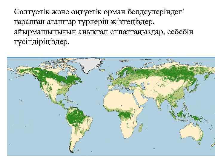 Солтүстік және оңтүстік орман белдеулеріндегі таралған ағаштар түрлерін жіктеңіздер, айырмашылығын анықтап сипаттаңыздар, себебін түсіндіріңіздер.