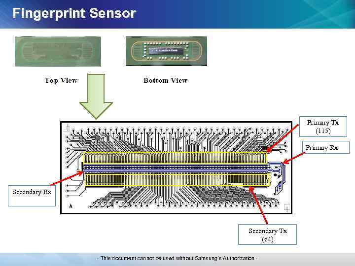 Fingerprint Sensor Primary Tx (115) Primary Rx Secondary Tx (64) - This document cannot