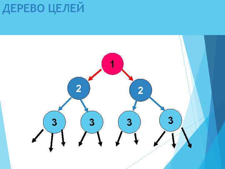 ДЕРЕВО ЦЕЛЕЙ 1 2 3 3 3 