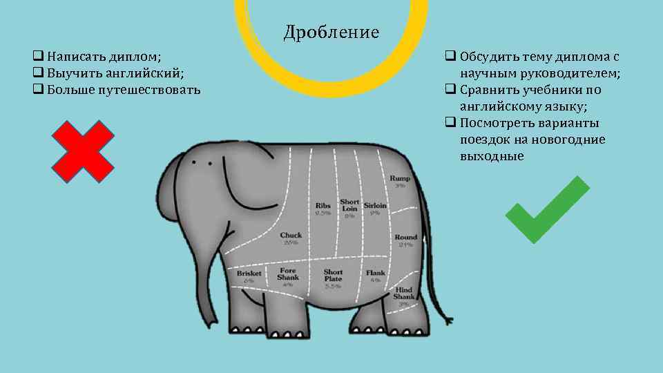 Дробление q Написать диплом; q Выучить английский; q Больше путешествовать q Обсудить тему диплома