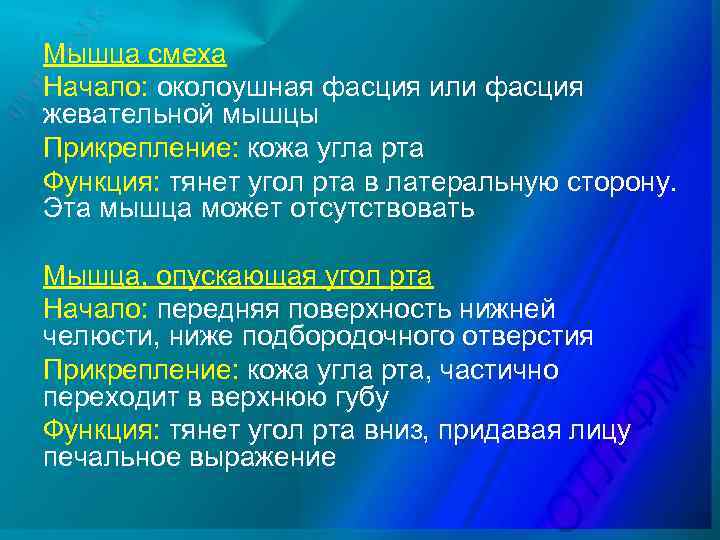 Мышца смеха Начало: околоушная фасция или фасция жевательной мышцы Прикрепление: кожа угла рта Функция: