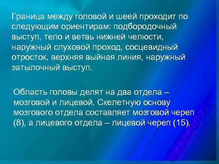 Граница между головой и шеей проходит по следующим ориентирам: подбородочный выступ, тело и ветвь