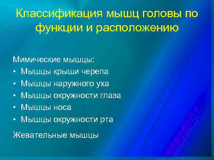 Классификация мышц головы по функции и расположению Мимические мышцы: • Мышцы крыши черепа •