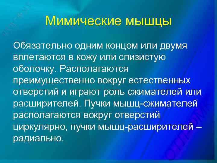 Мимические мышцы Обязательно одним концом или двумя вплетаются в кожу или слизистую оболочку. Располагаются