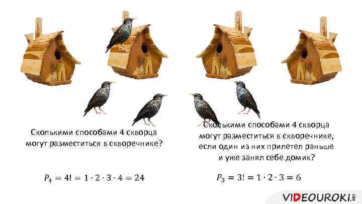 Сколькими способами 4 скворца могут разместиться в скворечнике? Сколькими способами 4 скворца могут разместиться