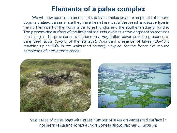 Elements of a palsa complex We will now examine elements of a palsa complex